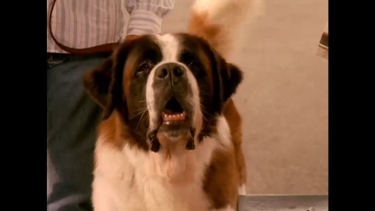 Beethoven-corrida para a fama