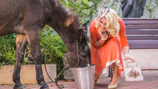Burro dará coice em Sandra