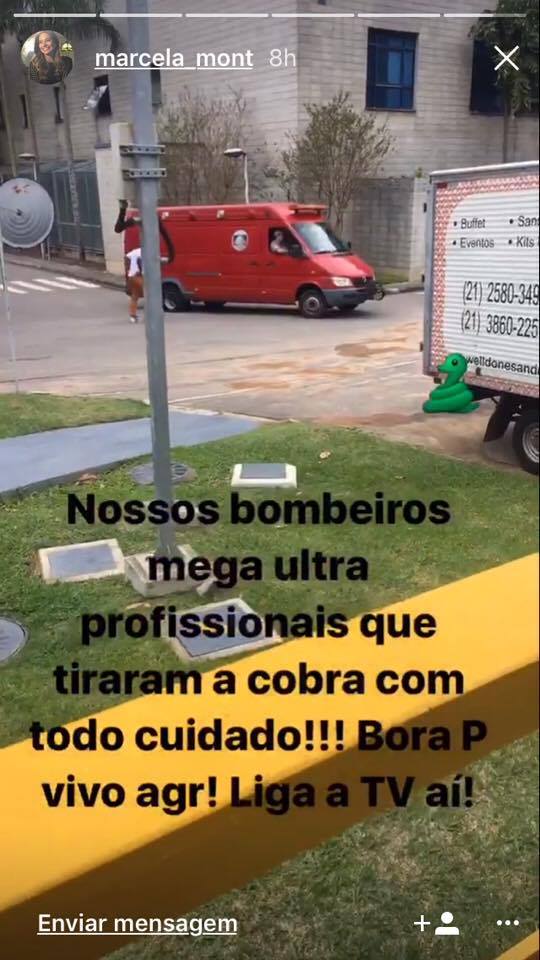 Cobra é encontrada perto de camarins do Vídeo Show
