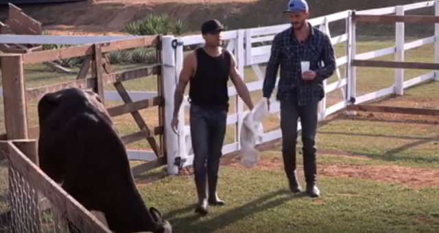 Yuri e Marcos em A Fazenda 9
