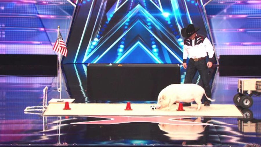 Planet's Got Talent será exibido pela Band como especial de Natal