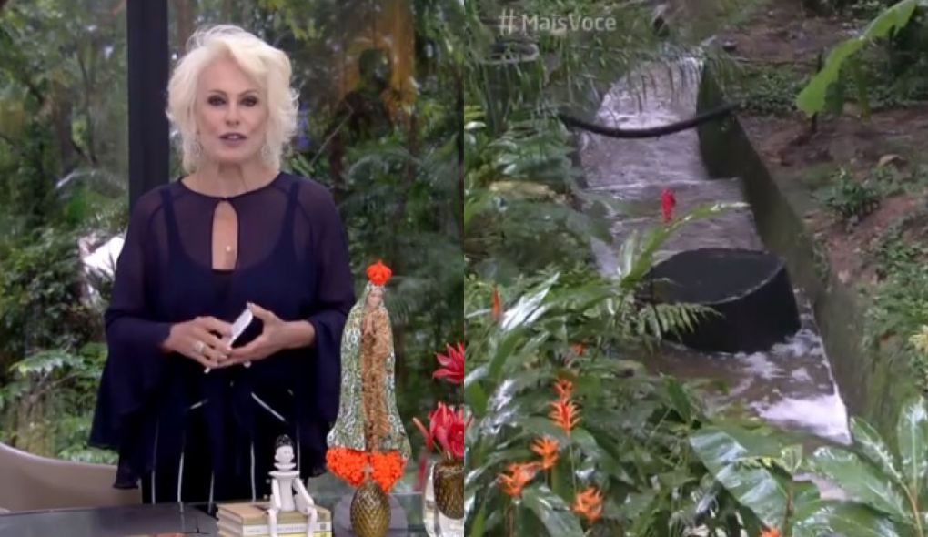 Ana Maria Braga falou sobre lago da Globo