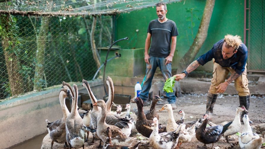 Gui Pádua, na nova série Aprendiz Animal