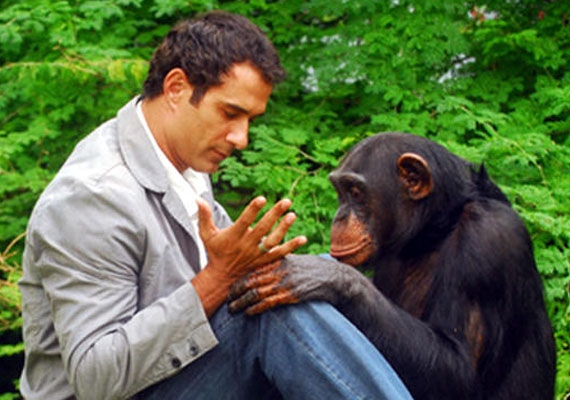 Macaco aprontava todas em trama das 19 horas (Divulgação/TV Globo)