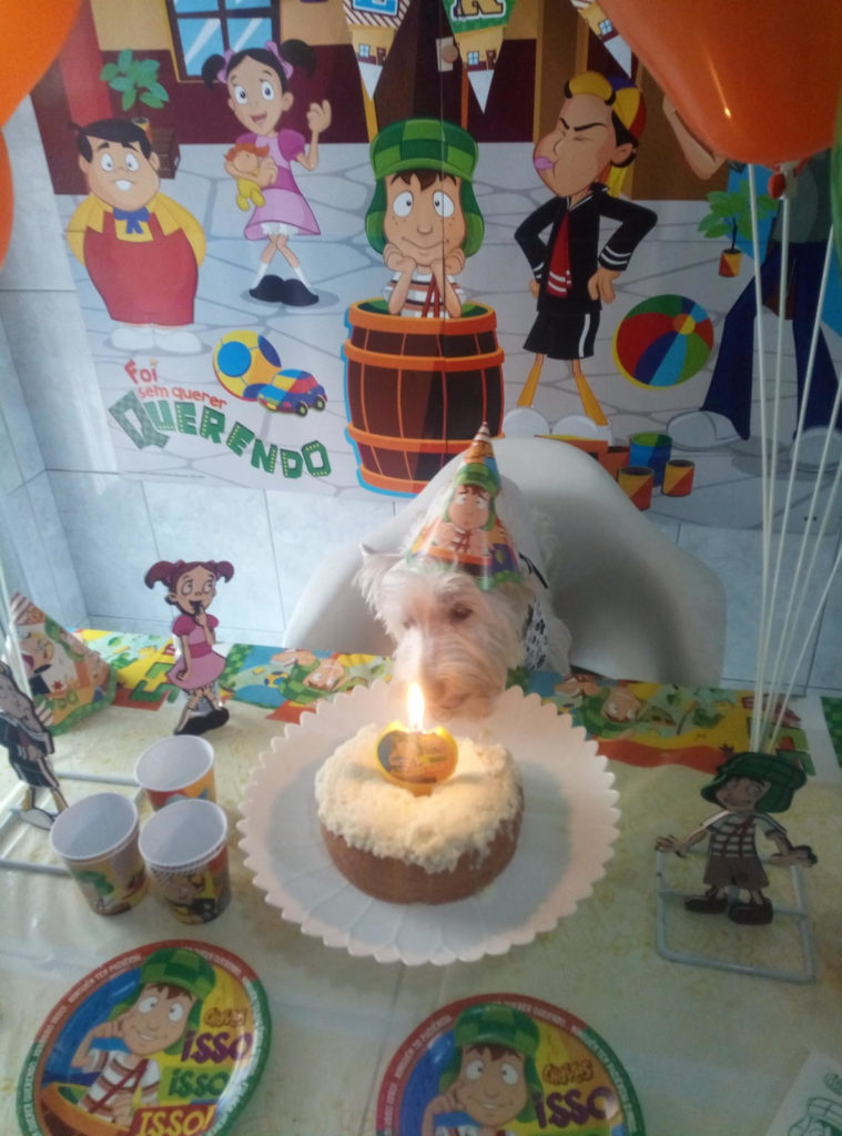 Iggy em sua festa de aniversario