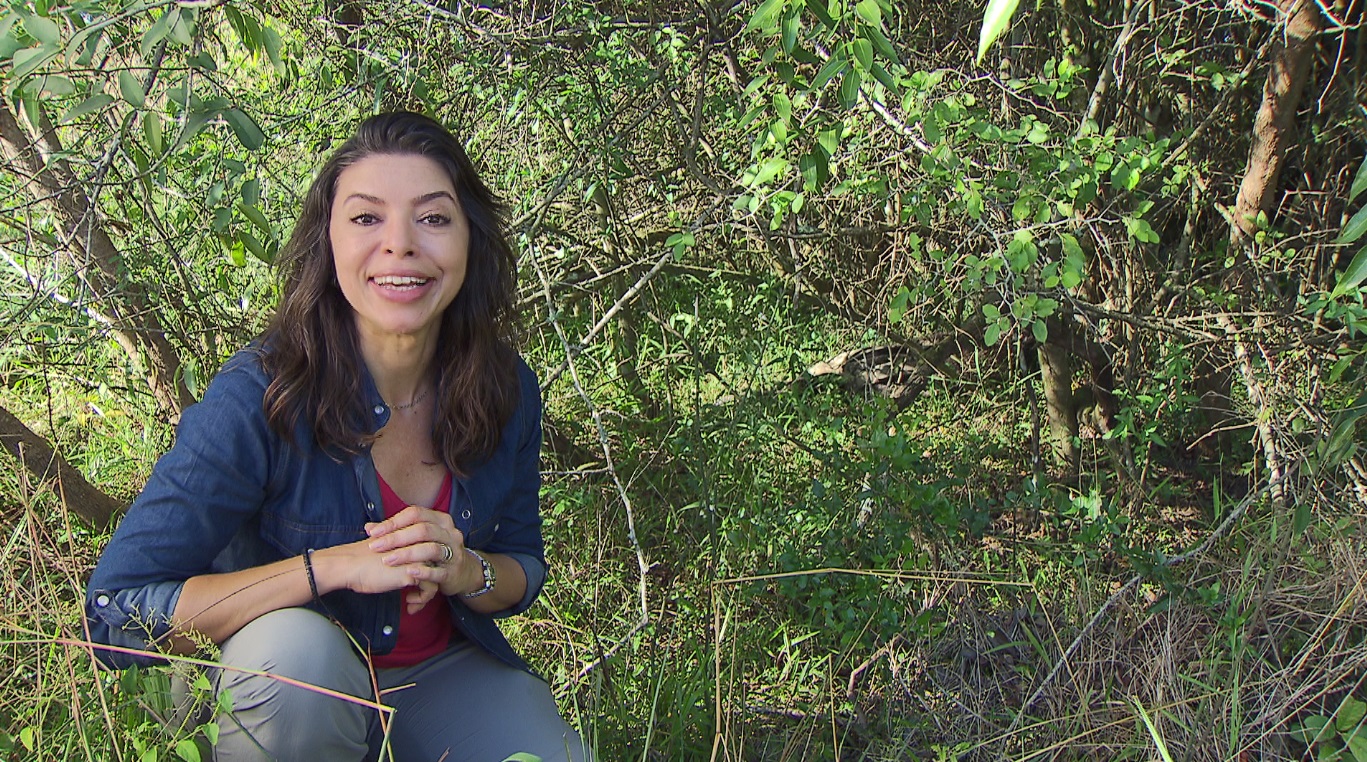A repórter Giovana Teles conta o renascimento de Esteiros do Iberá no Globo Repórter