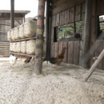 Sede de A Fazenda 10 (Divulgação)