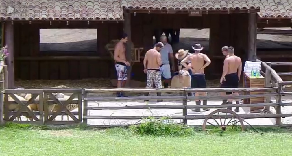 Peões dão banho nas ovelhas