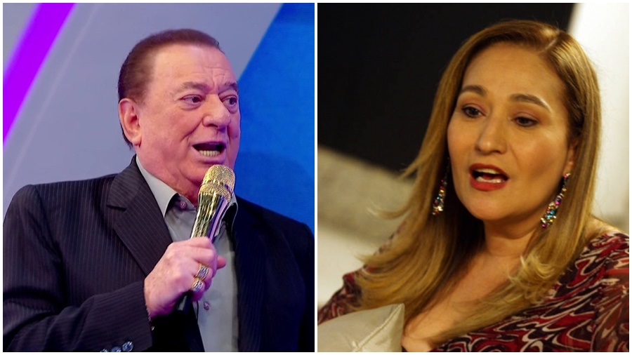 Sonia Abrão defende Raul Gil sobre caso de fake news (Divulgação)