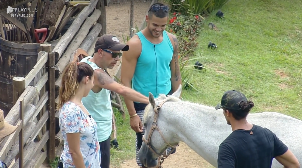 Peões se despedem dos animais