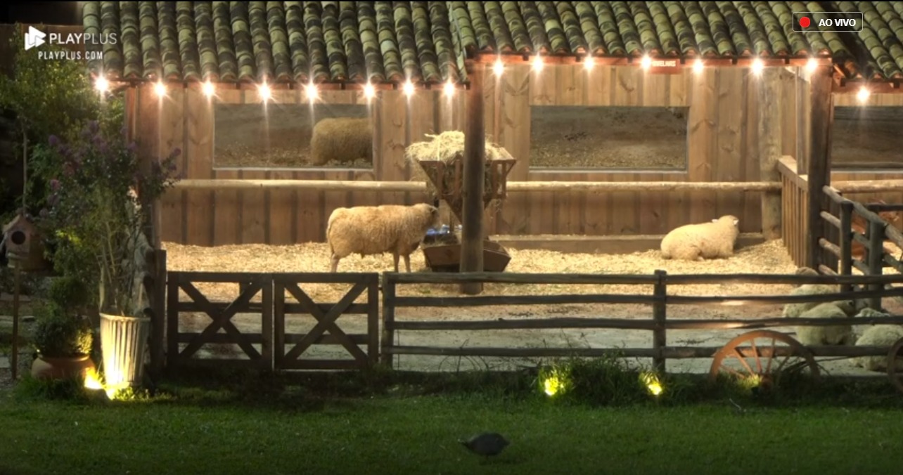 Animais em A Fazenda 10