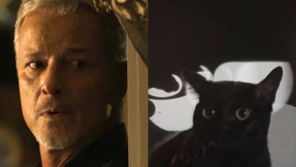 Sampaio (Marcello Novaes) e o gato Leon de O Setimo Guardiao