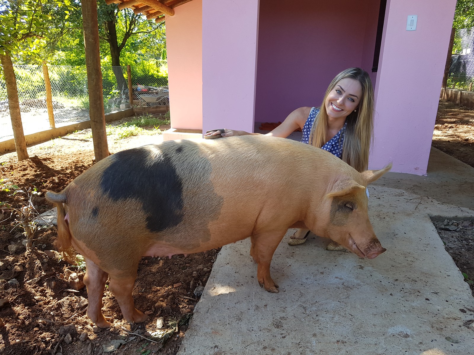 Paula BBB19 (Foto: Reprodução/Gshow)
