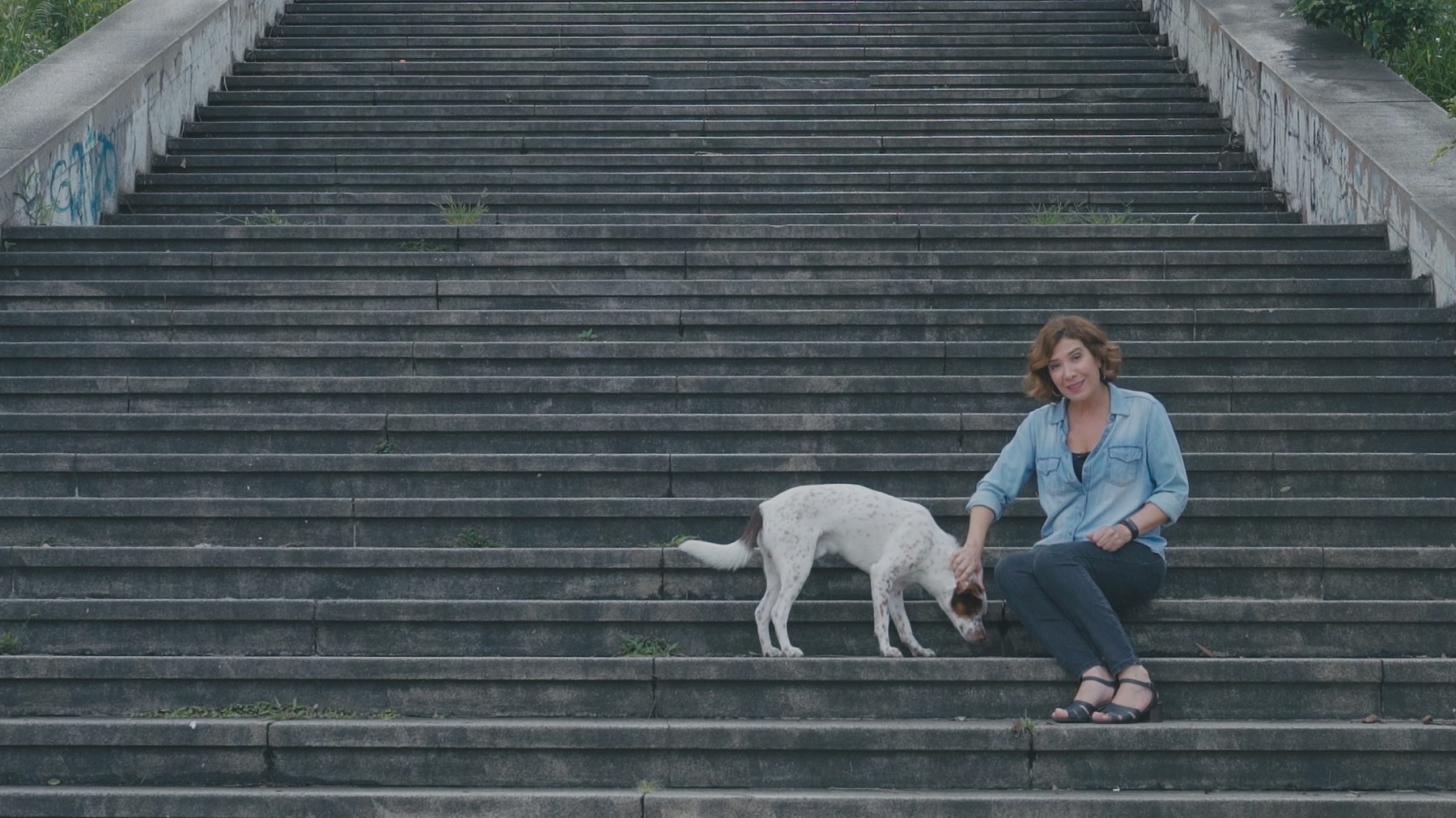 Na nova série ‘Vida Animal – Segunda Chance’, Giuliana Girardi acompanha a recuperação de animais abandonados até a adoção