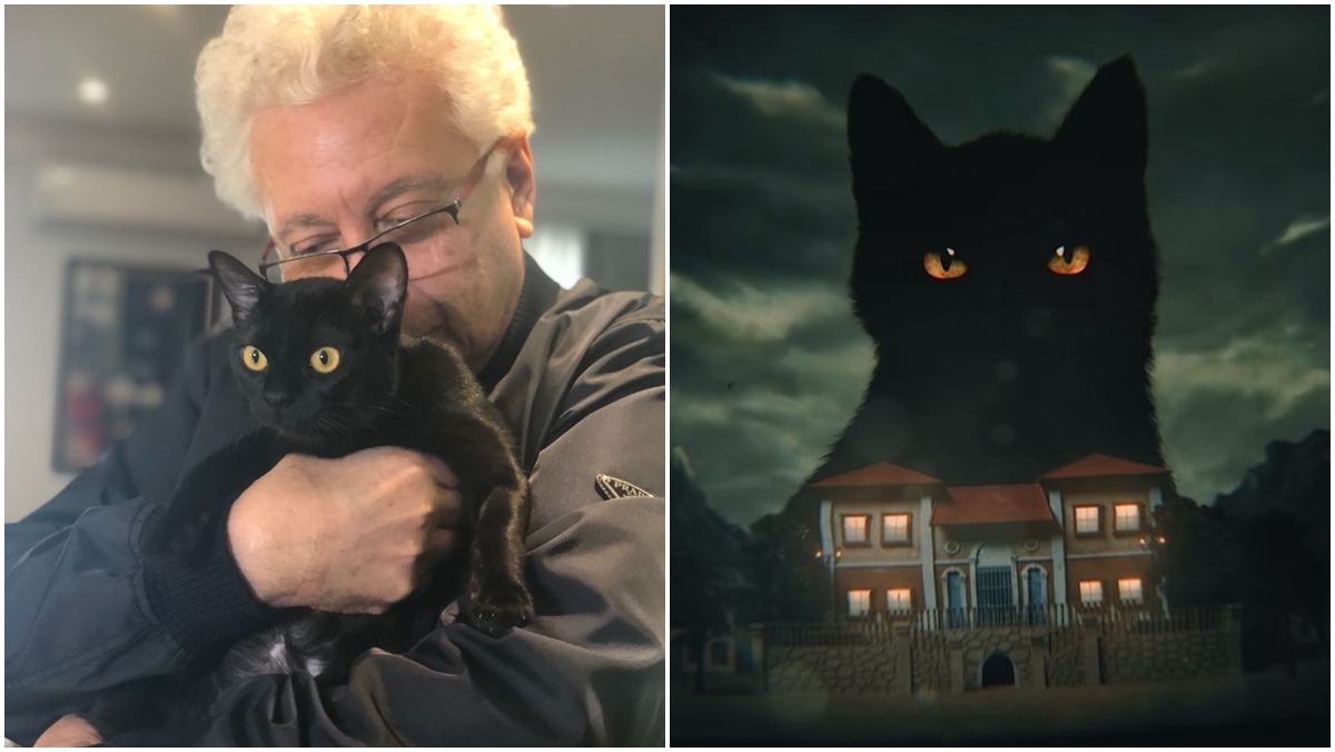 Aguinaldo Silva e o gato León (Divulgação)