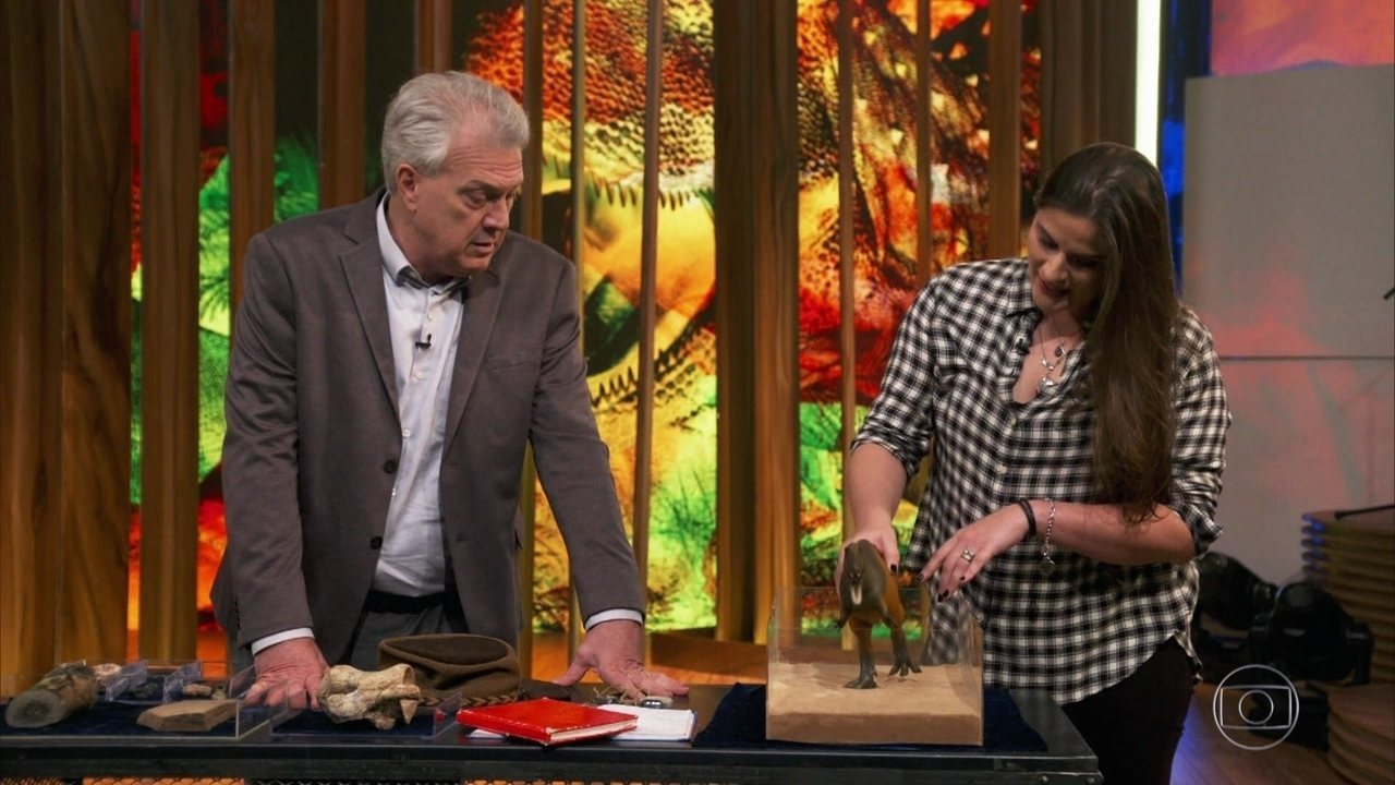 Paleontóloga Aline Ghilardi deu entrevista ao programa Conversa com Bial (Reprodução / Globo)