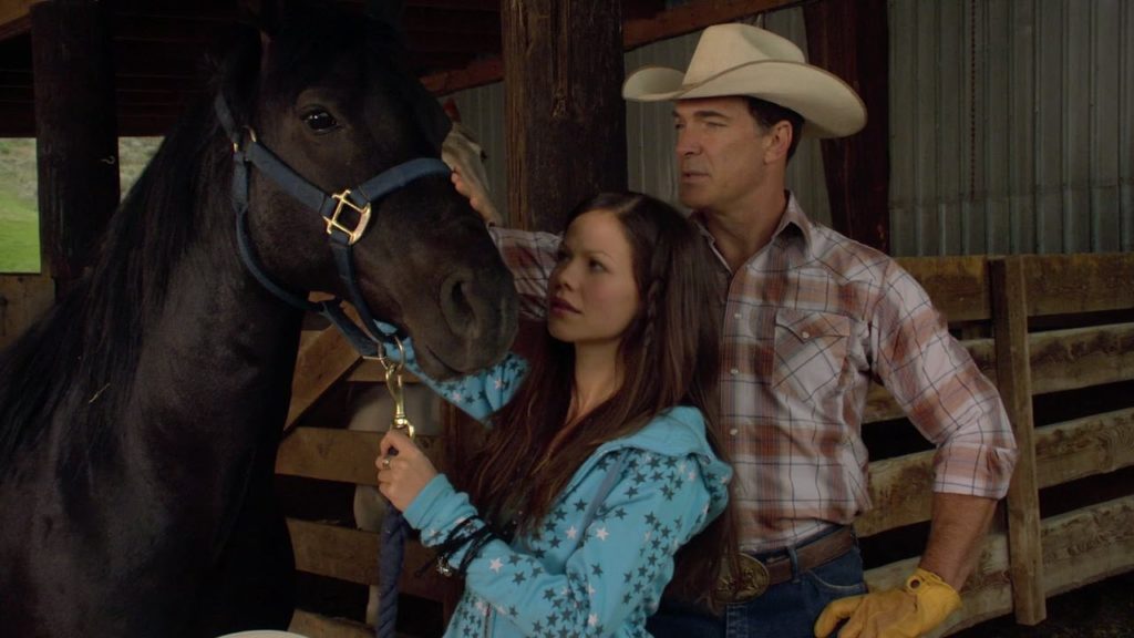 Filme Flicka 2