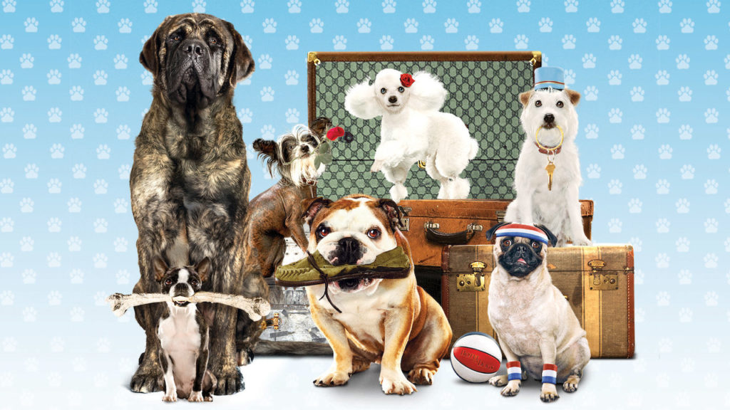 Filme Hotel Bom Pra Cachorro.