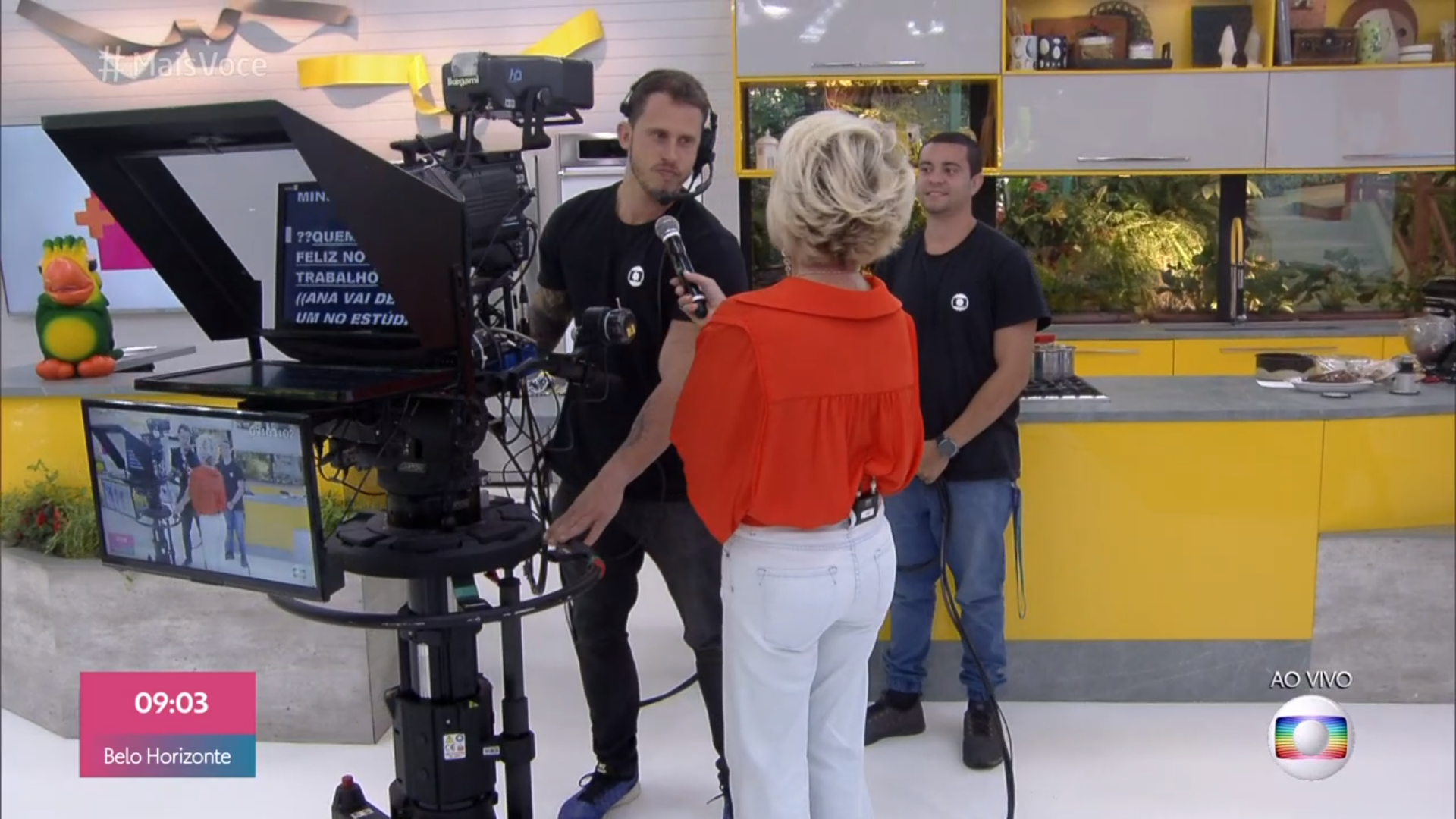 Ana Maria Braga no Mais Você
