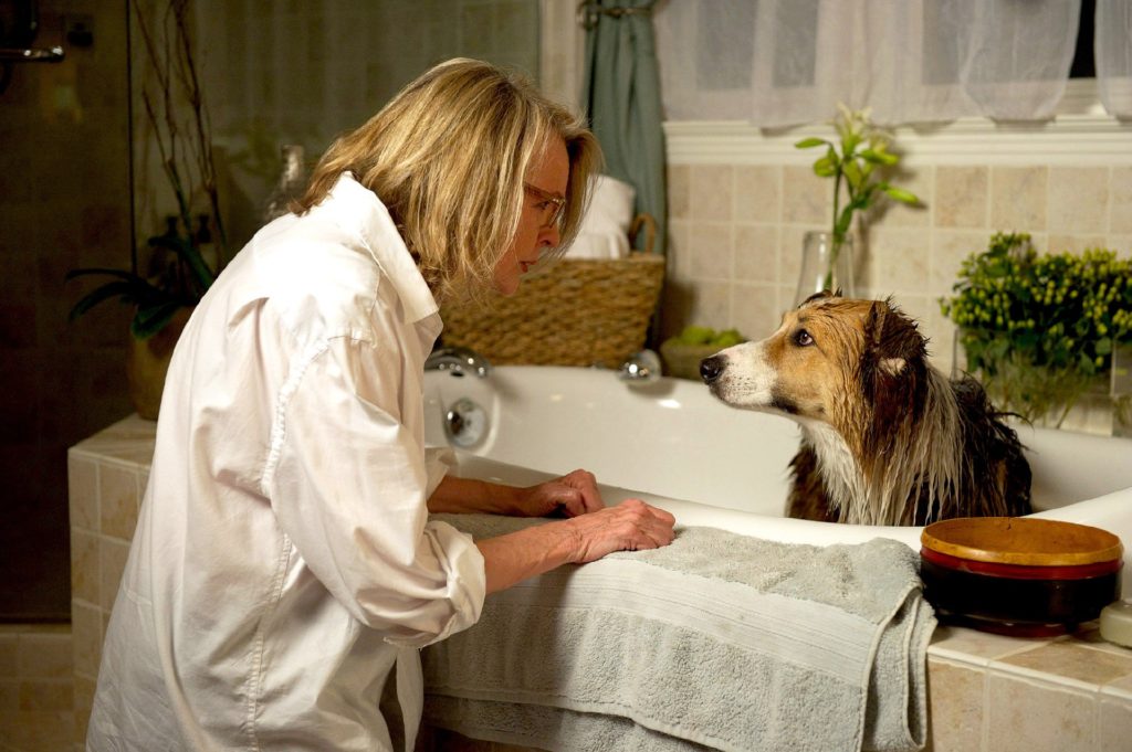 Filme Querido Companheiro.