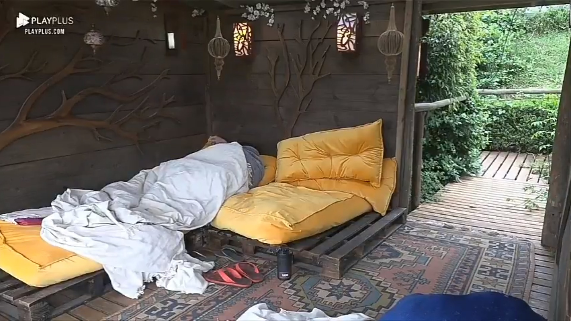 Hariany e Lucas
