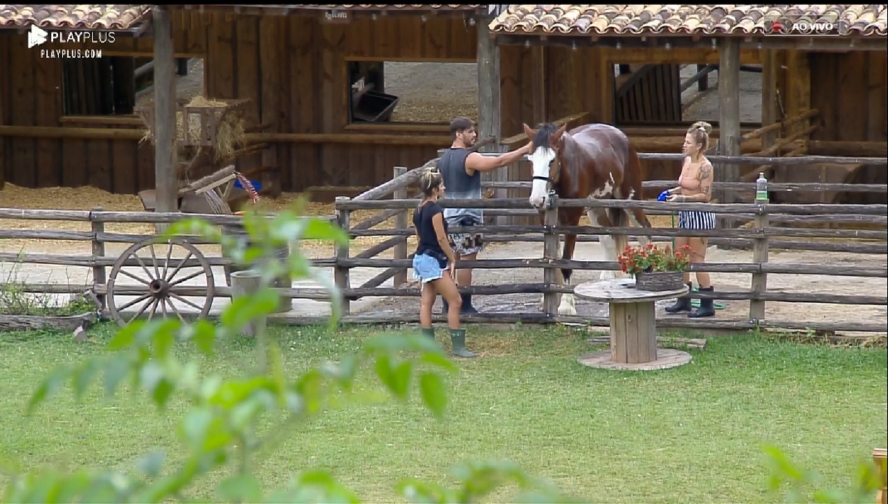 Hariany, Lucas e Bifão em A Fazenda 11