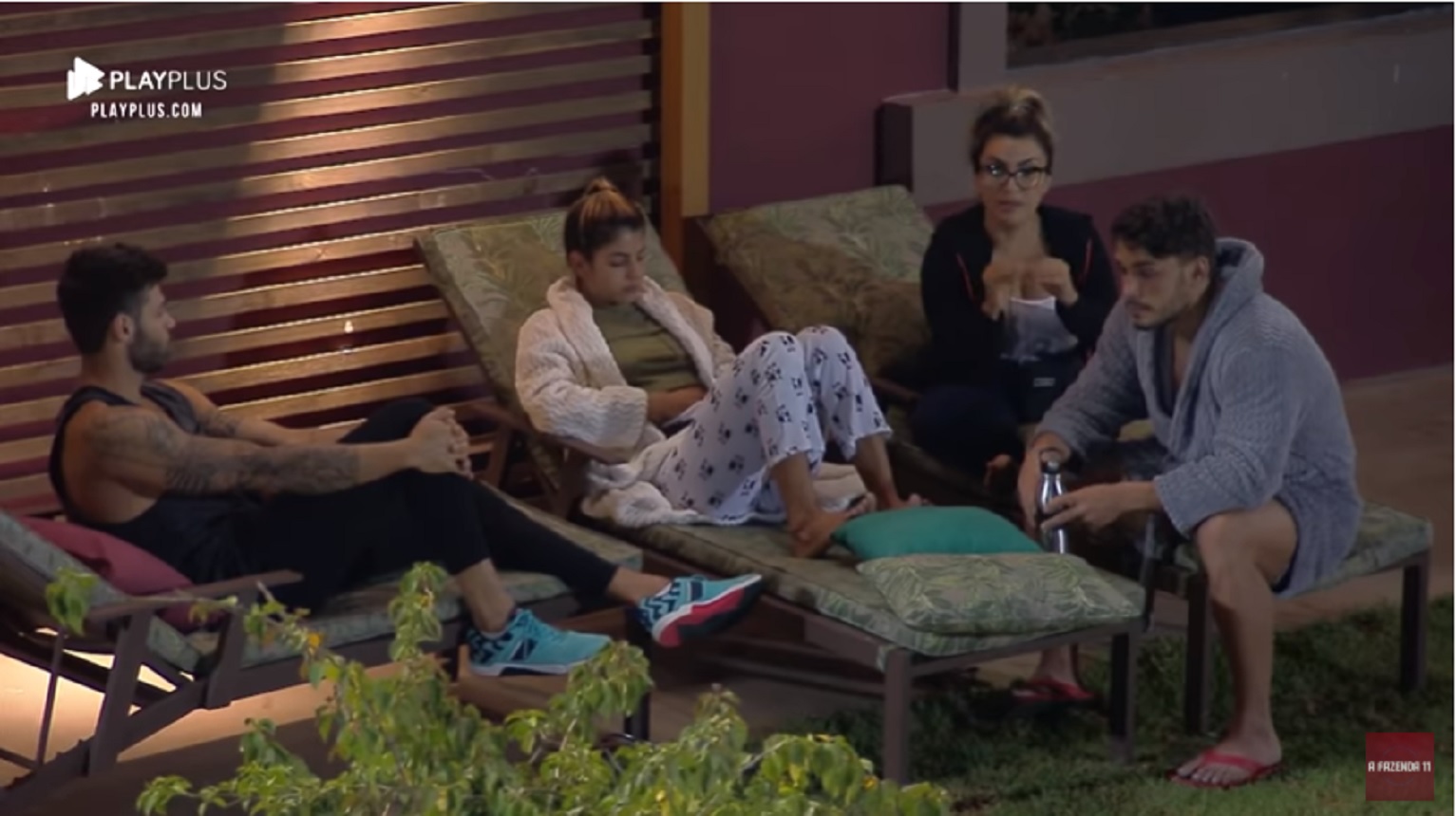 Netto, Hariany, Thayse e Lucas em A Fazenda 11