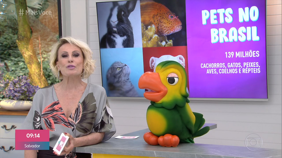 Ana Maria Braga no Mais Você