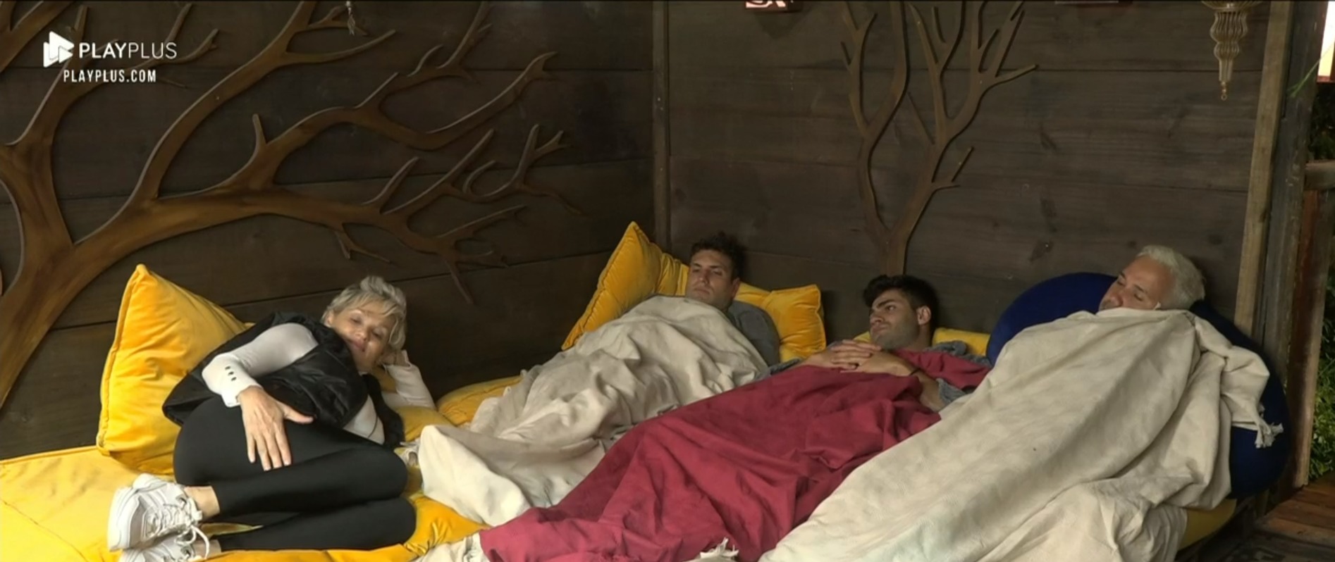 Andréa, Guilherme, Netto e Viny em A Fazenda 11