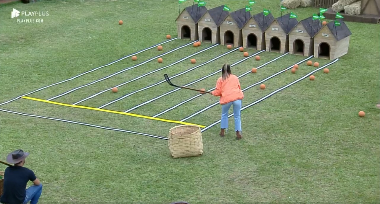 atividade de A Fazenda 11