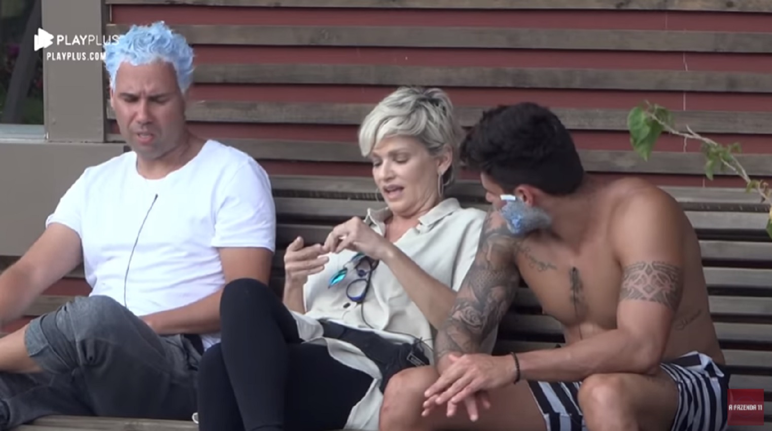Viny, Andréa e Netto em A Fazenda 11