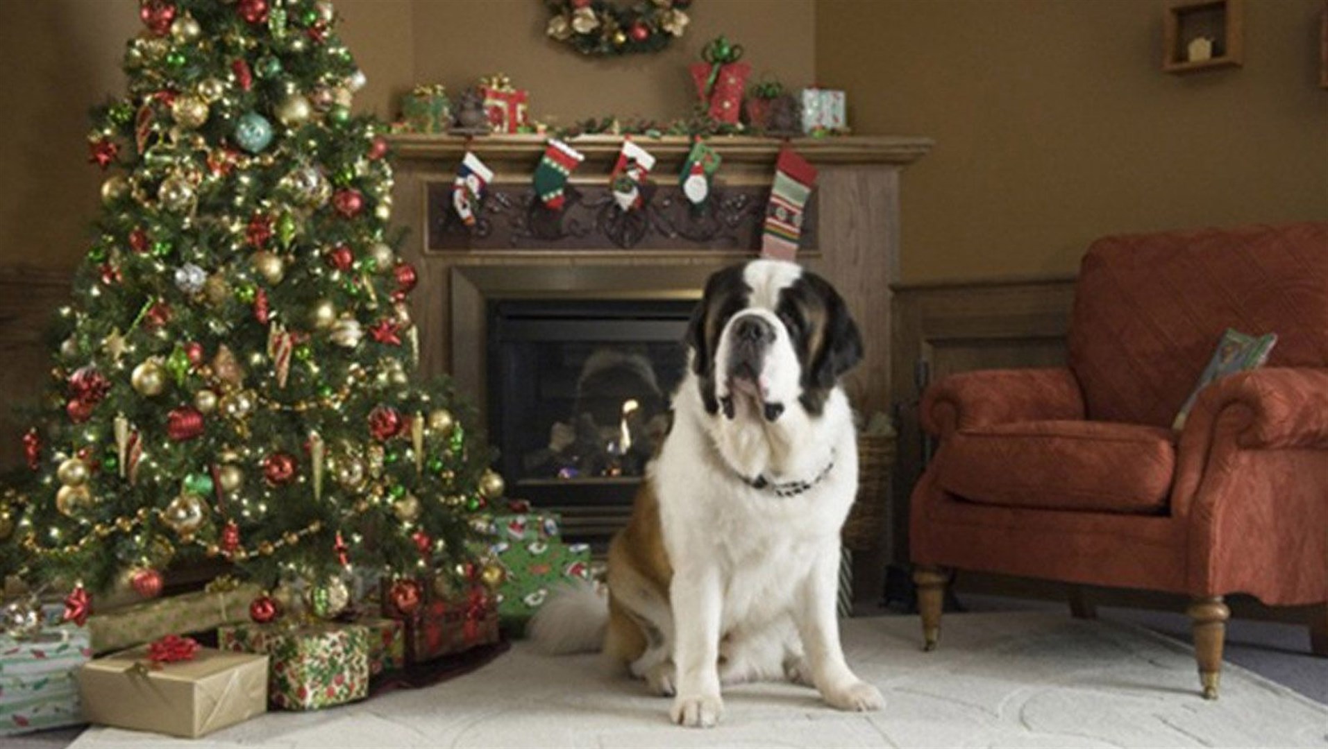 Beethoven e sua Aventura de Natal