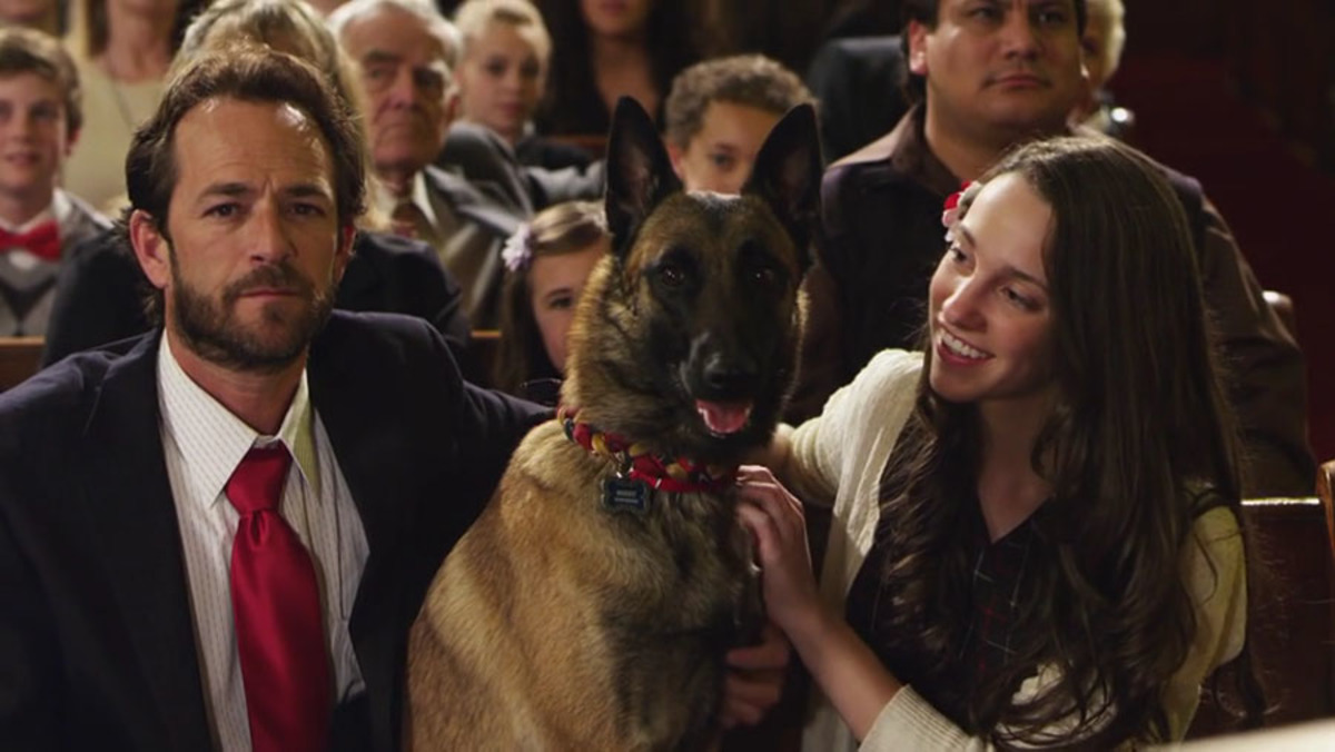 K-9 Uma Aventura de Natal