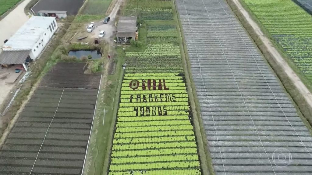 Agricultor faz homenagem ao Globo Rural em sua plantação de alfaces (Reprodução/Globo)