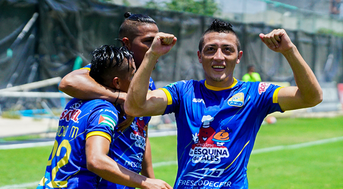 Delfín