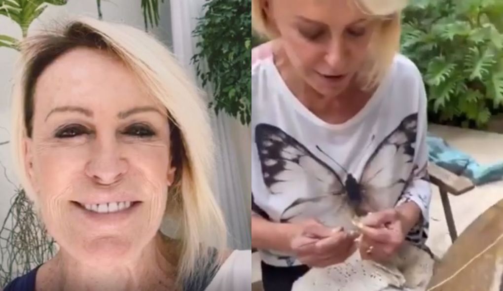 Ana Maria Braga