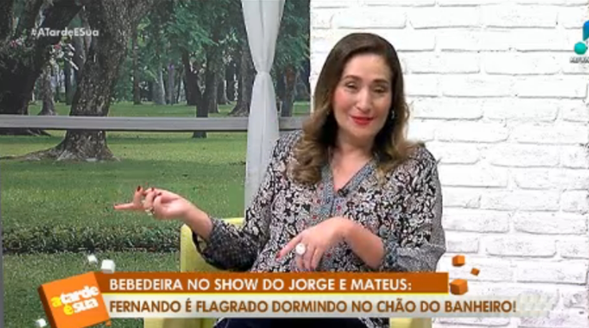 Sonia Abrão levou susto no A Tarde É Sua (Reprodução: RedeTV!)