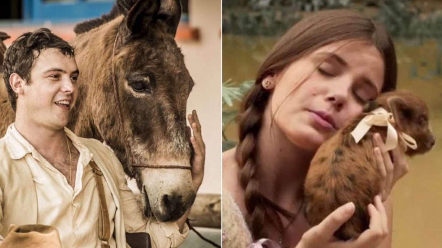Candinho (Sérgio Guizé) e o burro Policarpo e Mafalda (Camila Queiroz) e a porca Lili em Êta Mundo Bom