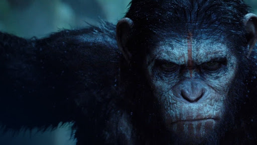 Trecho de Planeta dos Macacos: O Confronto (Reprodução)