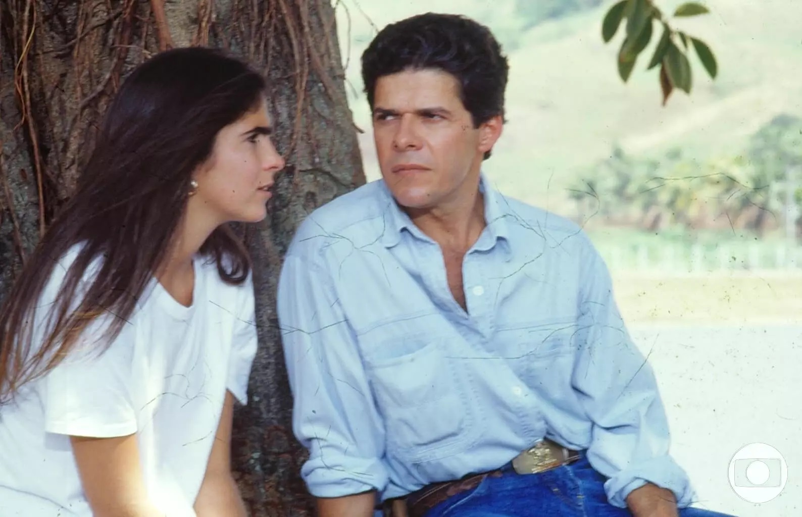 Novela Fera Radical
