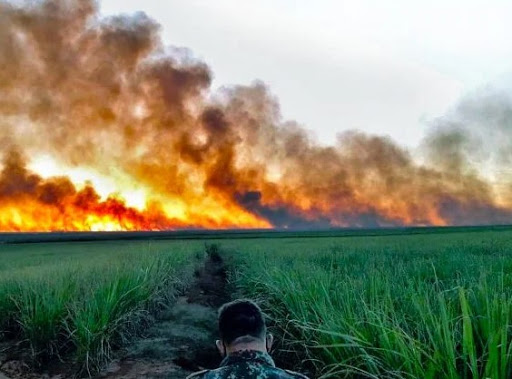 Divulgação/Governo de Mato Grosso do Sul, site Sou Ecológico