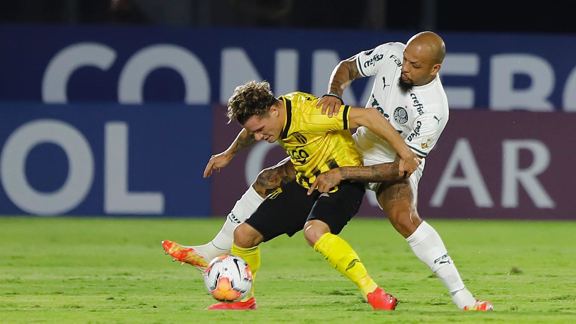 Palmeiras e Guarani em campo pela taça Libertadores (Reprodução)
