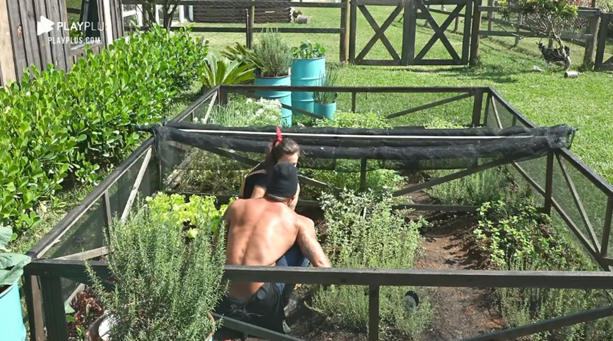Juliano Ceglia em desabafo com Stéfani Bays (Reprodução: PlayPlus)
