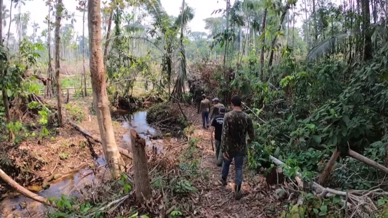 Cena de Os Defensores da Floresta, matéria do Fantástico