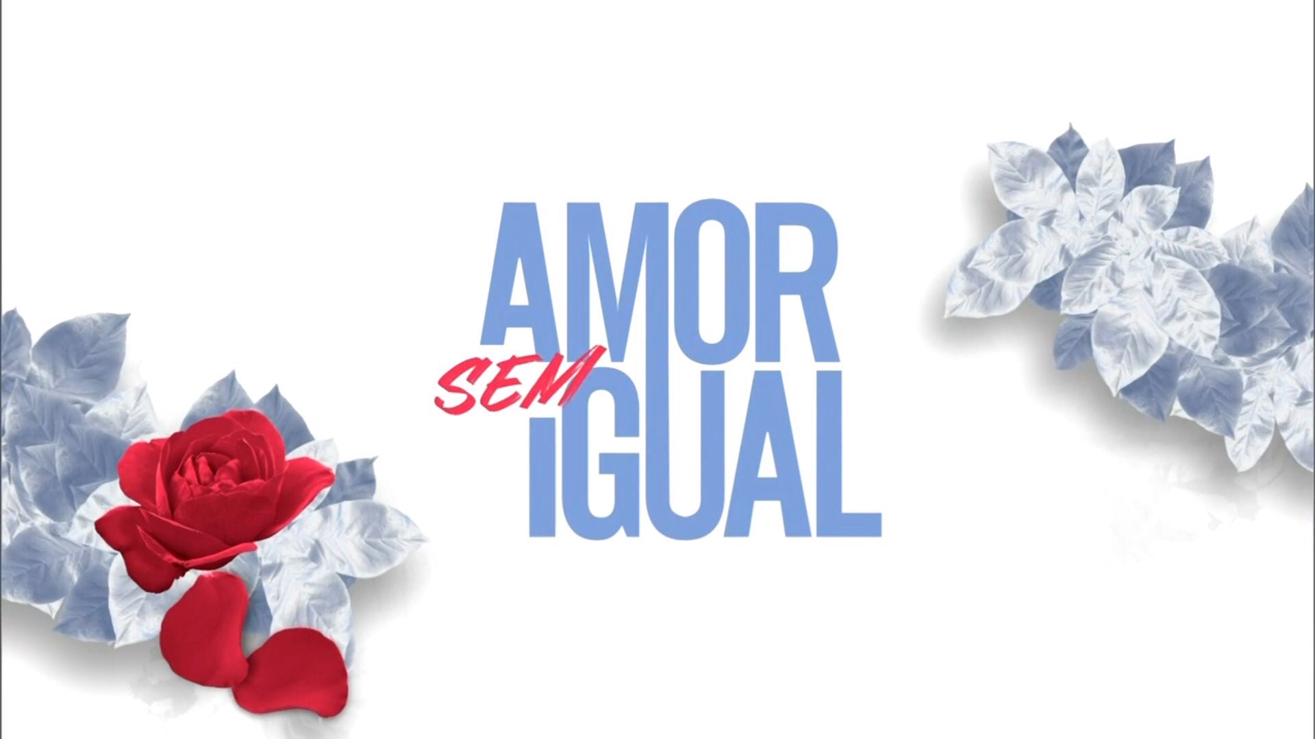 Novela Amor Sem Igual