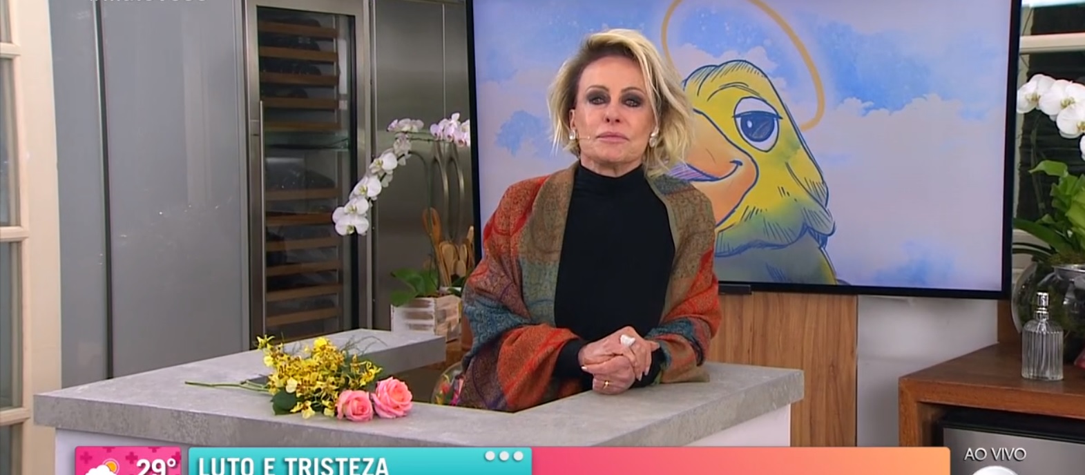 Ana Maria Braga no Mais Você
