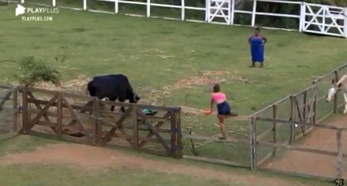 Jojo Todynho e Stéfani Bays fogem de vaca (Reprodução: PlayPlus)