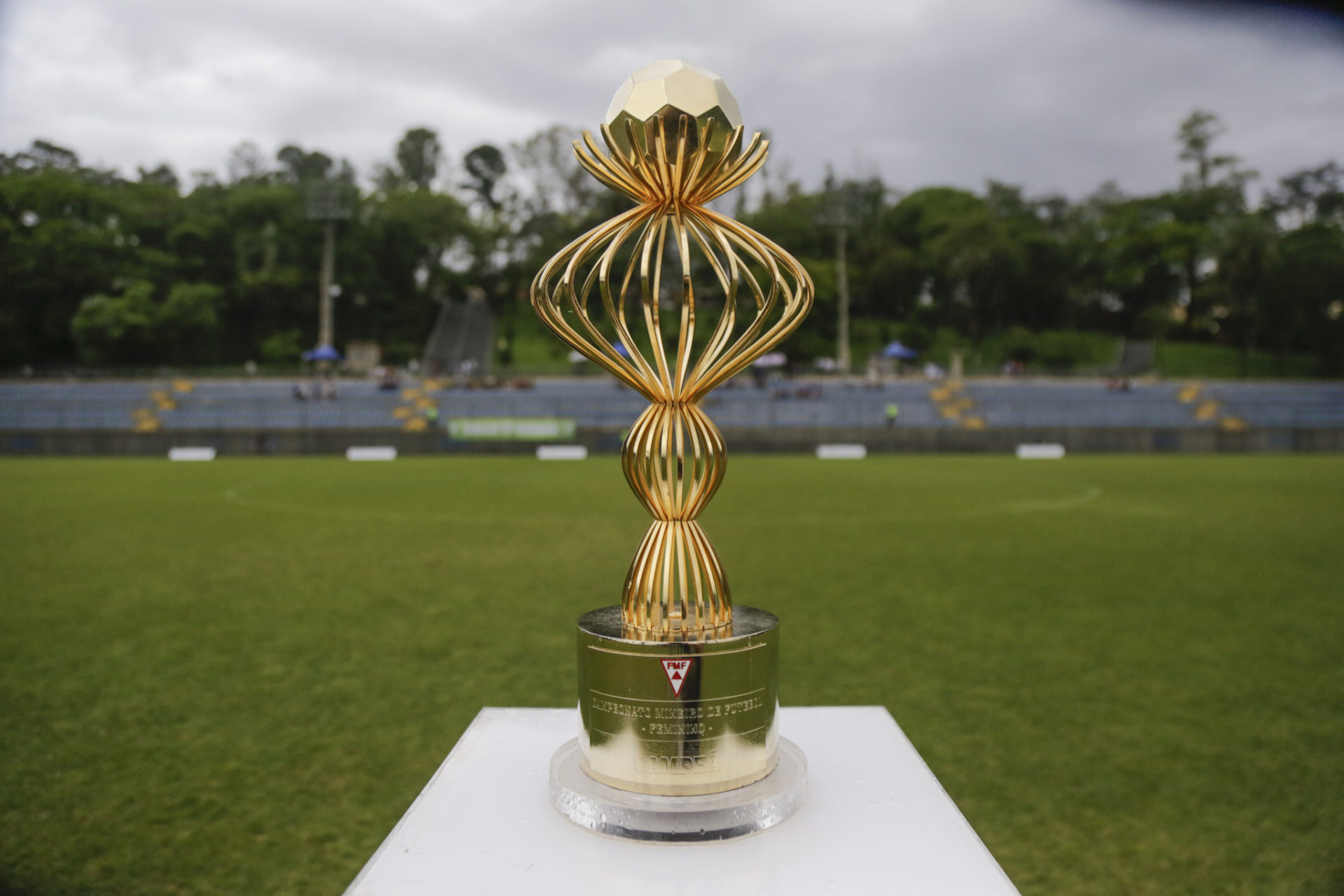 Campeonato Mineiro Feminino