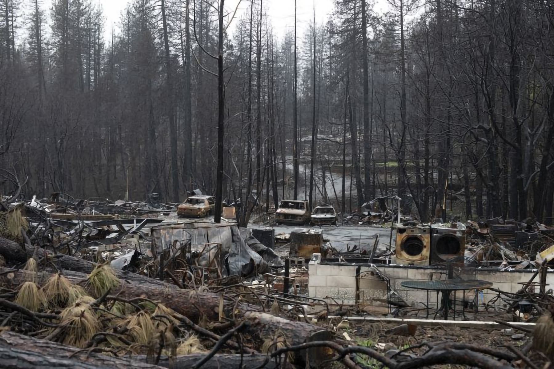 Paradise: Incêndios na California