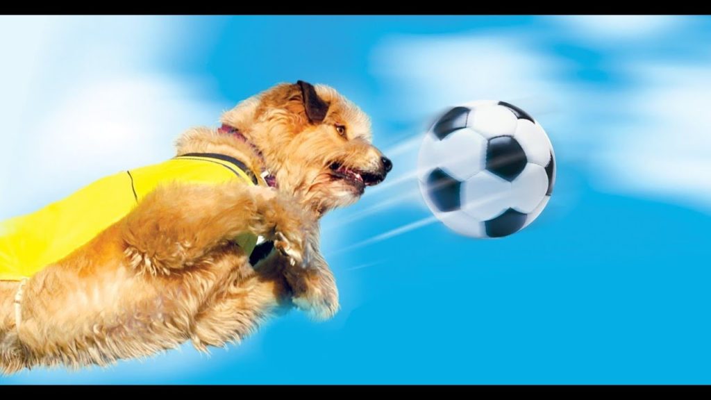 Um Craque Animal 2